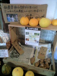 alto-090220 010.JPG