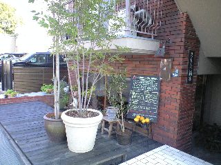 midori-new-out.JPG