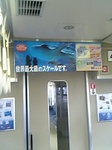 kaiyukan_koukoku.jpg