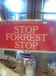 stopforreststop.jpg