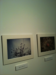 image-201006163222430.png