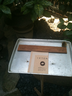 image-20100925212353.png